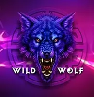 Wild Wolf